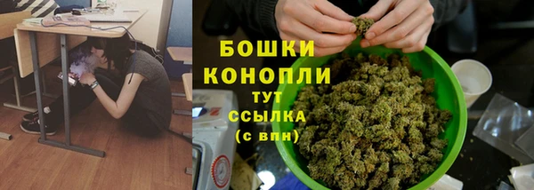 молекула духа Аркадак
