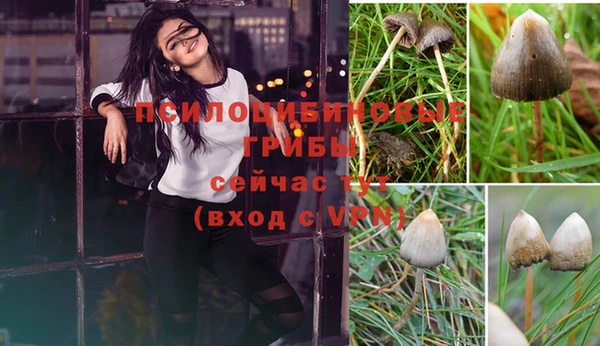 молекула духа Аркадак