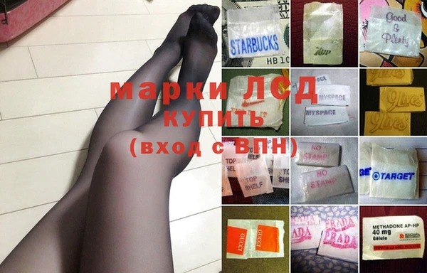 сатива Балахна