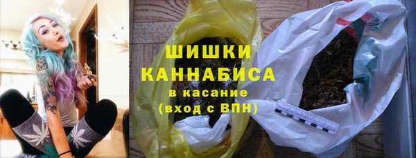 сатива Балахна