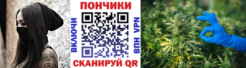 блэк спрут как зайти  где купить наркоту  Кувшиново  Бошки Шишки семена 